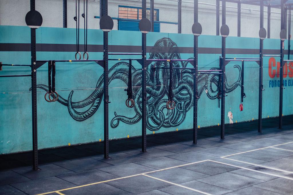 Mundo CrossFit Photo of Mundo CrossFit