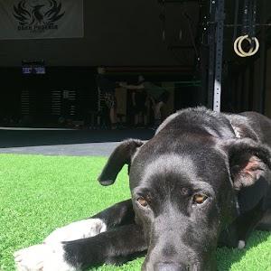 Jon Orduña Photo of CrossFit Dark Phoenix