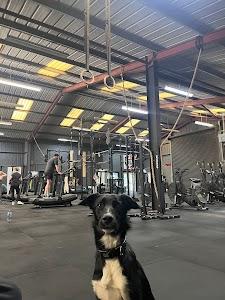 Andrew Irwin Photo of CrossFit 8020