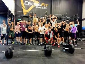 CrossFit Haarlem Photo of CrossFit Haarlem