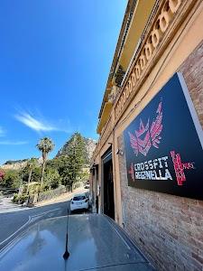 Ulrich Kasper Photo of CrossFit Reginella