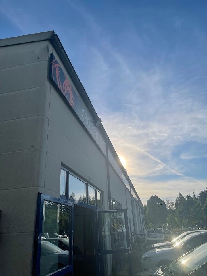 Michelle Photo of CrossFit Lion Pride