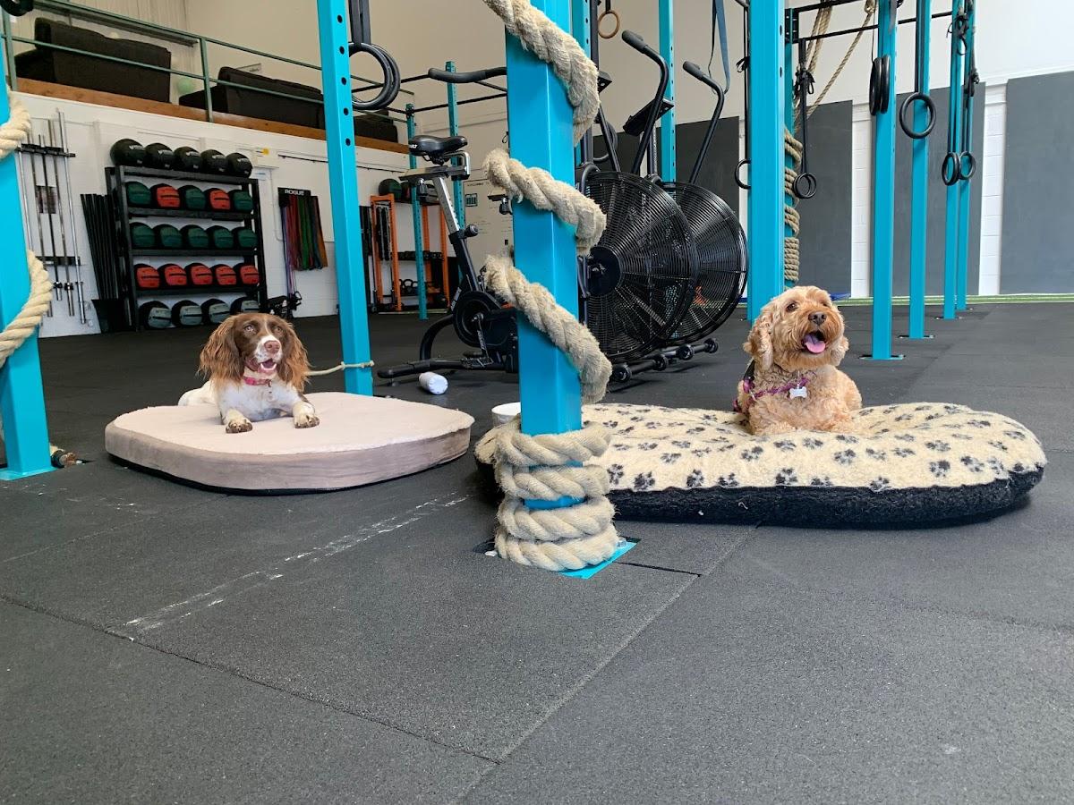 Unity Fitness home of Crossfit Better Together Photo of CrossFit Better Together