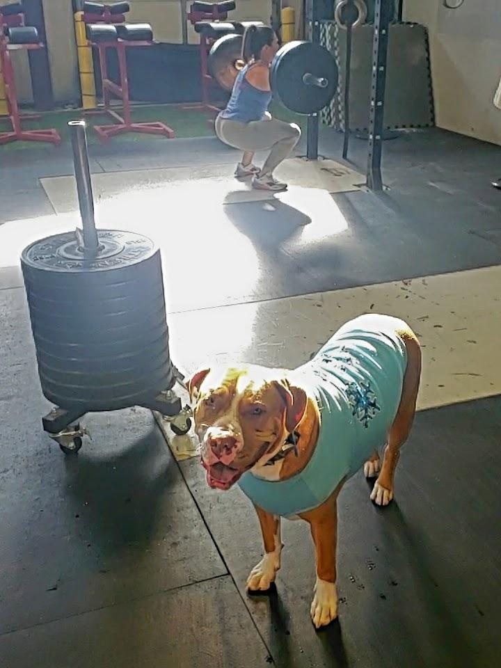 G&C Smith Photo of CrossFit Indian Trail