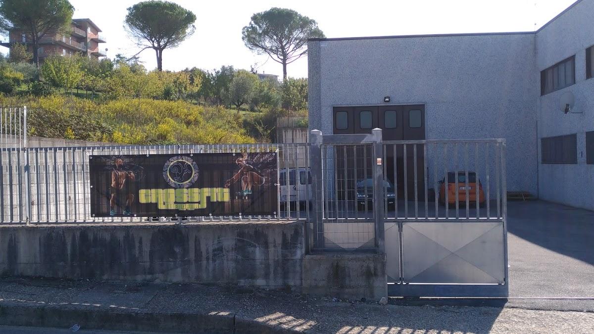 CrossFit Mentana Photo of CrossFit Mentana