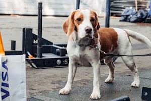 CrossFit 19.05 Photo of CrossFit 19.05