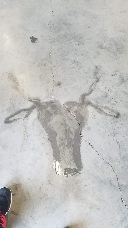 Rob Miller Photo of CrossFit Hammond