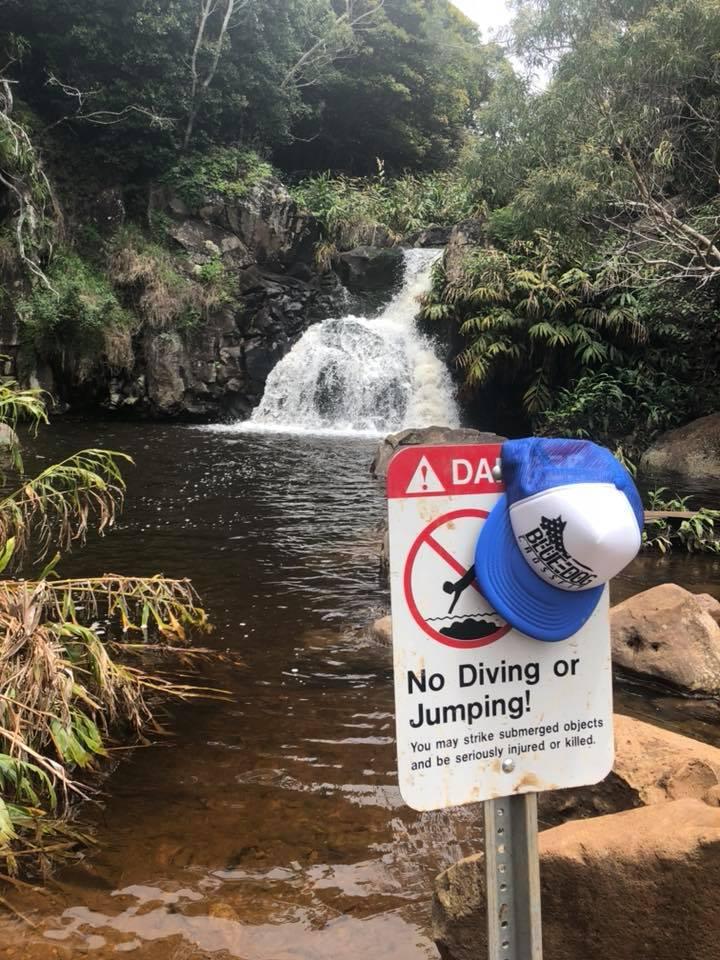 Crossfit BlueDog Photo of CrossFit BlueDog