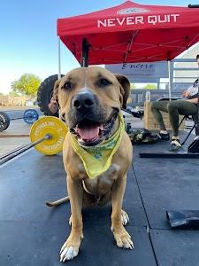 Hammer CrossFit East Photo of Hammer CrossFit East