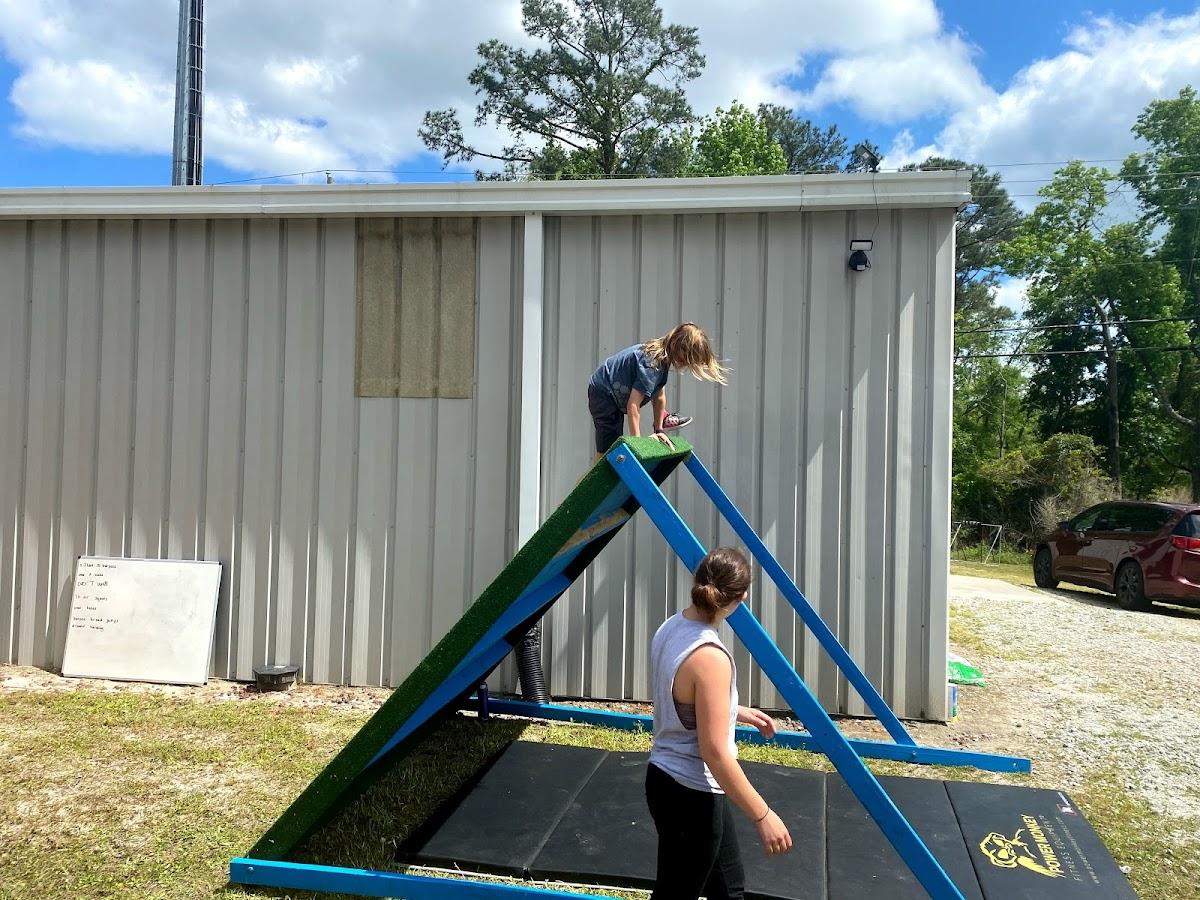 Essential CrossFit Photo of Essential CrossFit