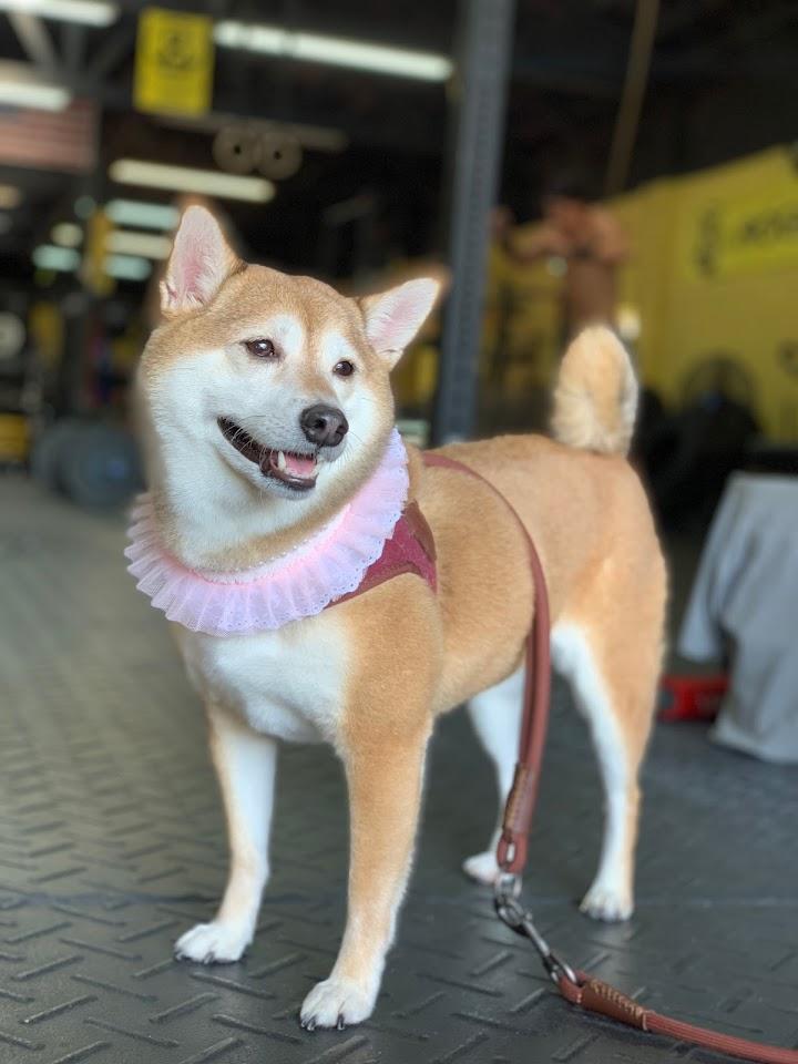 hannah oh Photo of K2 CrossFit