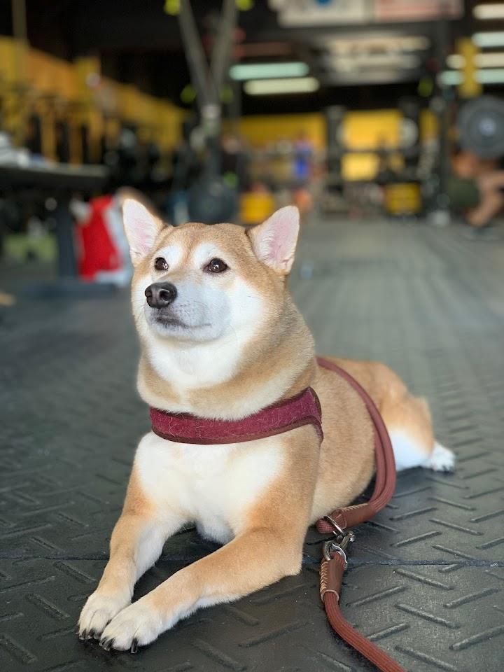 hannah oh Photo of K2 CrossFit