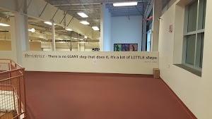 Joey Bays Photo of CrossFit Grizzly