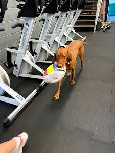 CrossFit B76 Photo of CrossFit B76