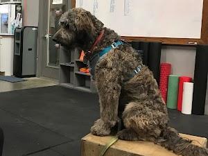 Sanctum CrossFit Photo of Sanctum CrossFit