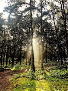 Go Train TV Photo of CrossFit East Rocks