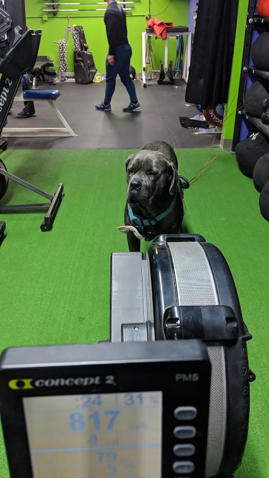 Vaasu Pendyala Photo of CrossFit Gamma