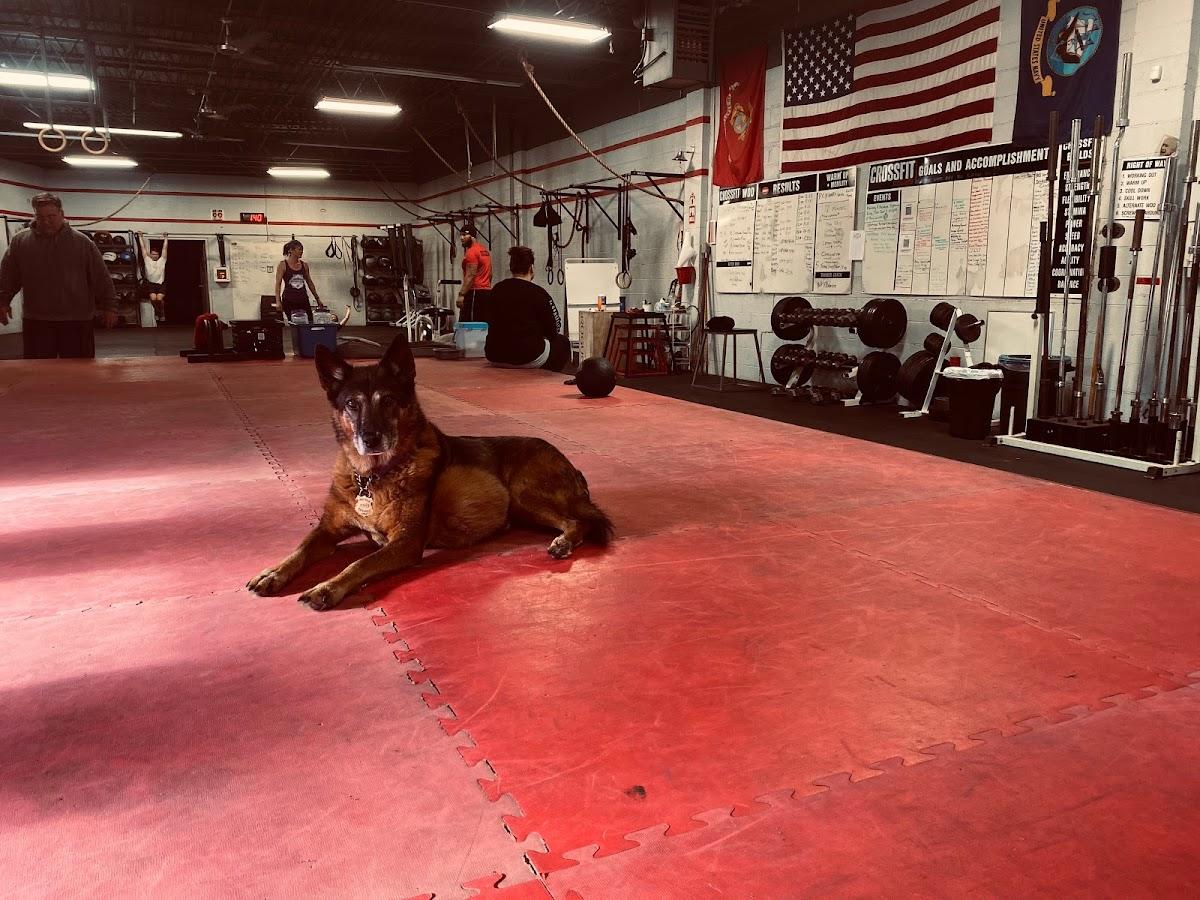 CrossFit Cleveland in Rocky River, OH Photo of CrossFit Cleveland