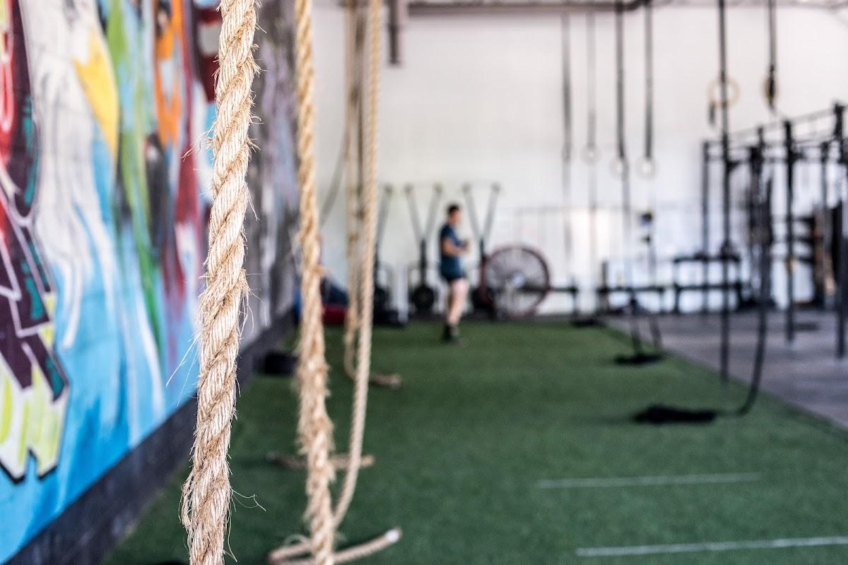 Formcode Webteam Photo of New Species CrossFit