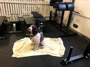 CrossFit Chichester Photo of CrossFit Chichester