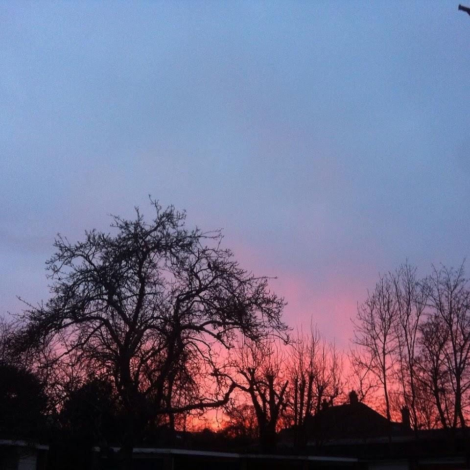 Richard Nimb Photo of CrossFit Chiltern