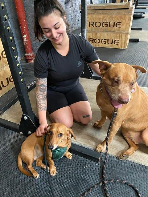 CrossFit South Brooklyn Photo of CrossFit South Brooklyn