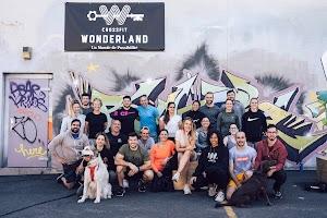 CrossFit Wonderland Photo of CrossFit Wonderland