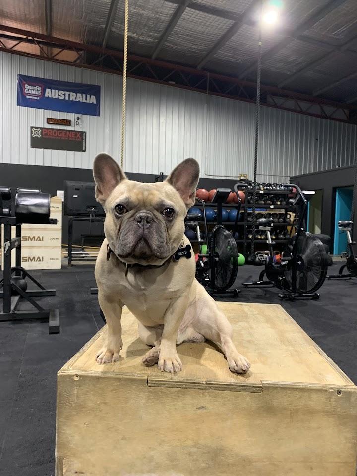 Hunter Fitness Photo of CrossFit Hunter