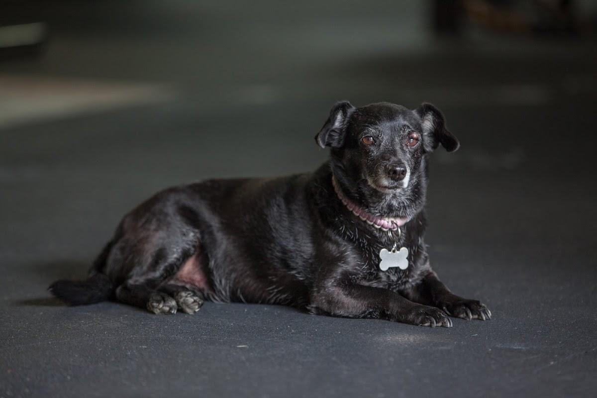 CrossFit Fresno Photo of CrossFit Fresno