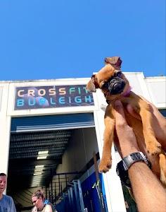 c b Photo of CrossFit Burleigh