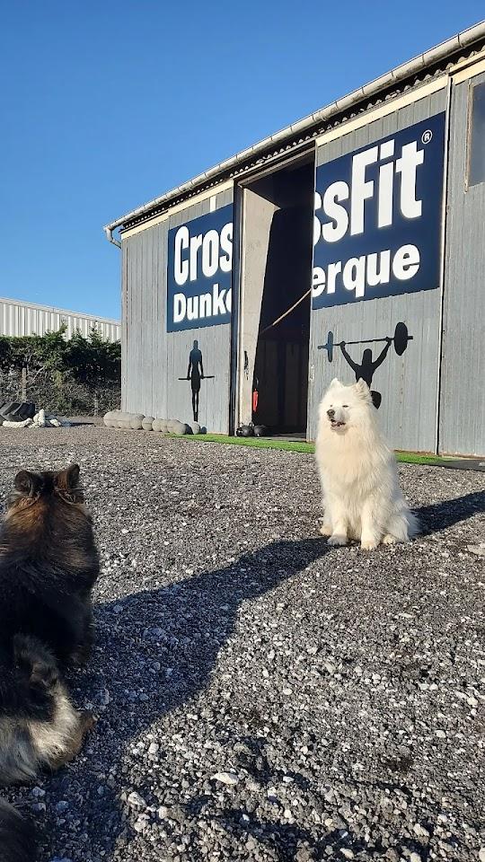 Max P Photo of CrossFit Dunkerque