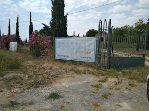 CrossFit Friendly Photo of CrossFit Friendly