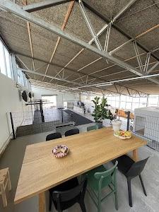 CrossFit WEN Photo of CrossFit WEN