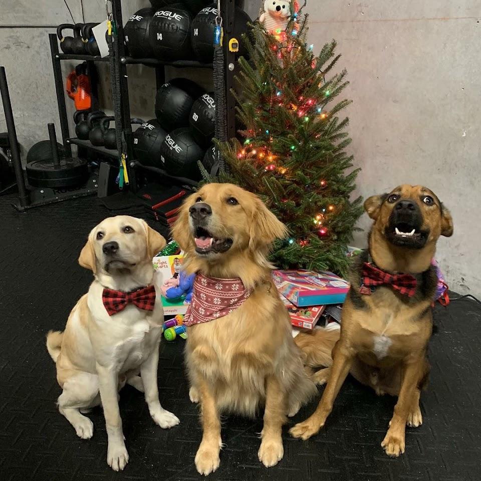 Aspire CrossFit at Aspire Sports Lab Photo of Aspire CrossFit