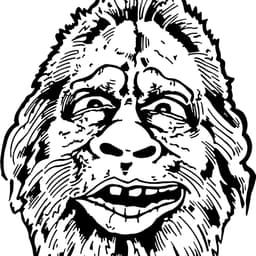 Missing Link CrossFit