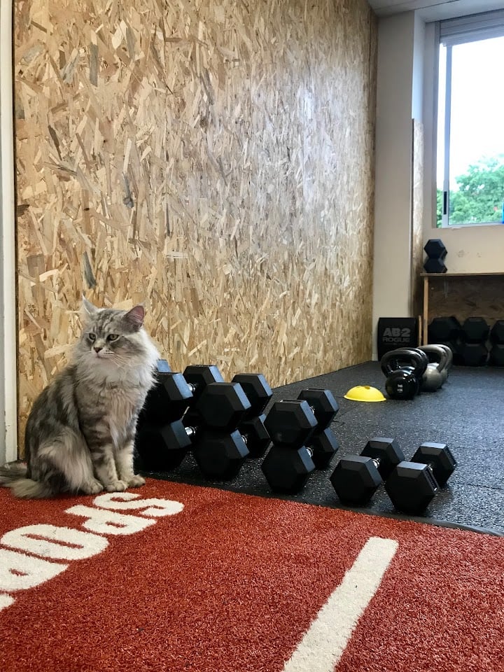 Photo of Sweat & Tears CrossFit