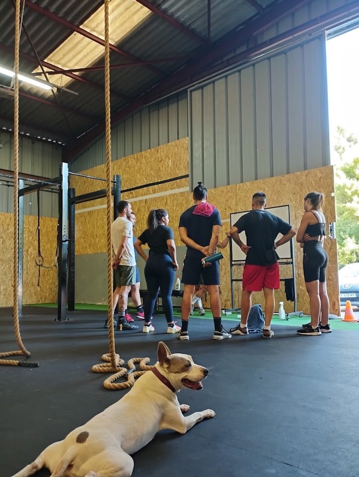 Photo of CrossFit Themyscira