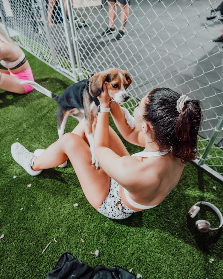 Photo of CrossFit Club Bunker