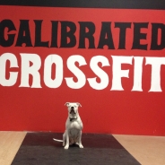 Calibrated CrossFit