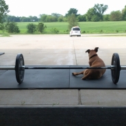 CrossFit Beloit logo