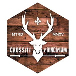 CrossFit Principium logo