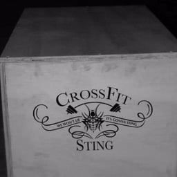 CrossFit Sting logo