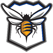 CrossFit Swarm logo