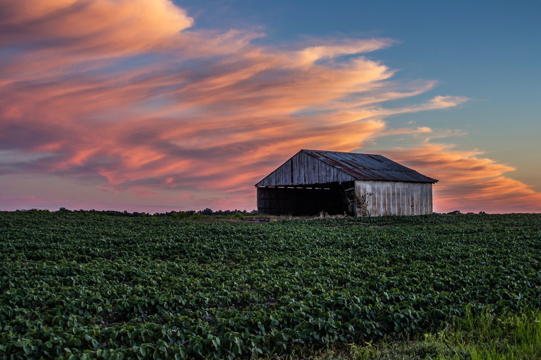 Indiana