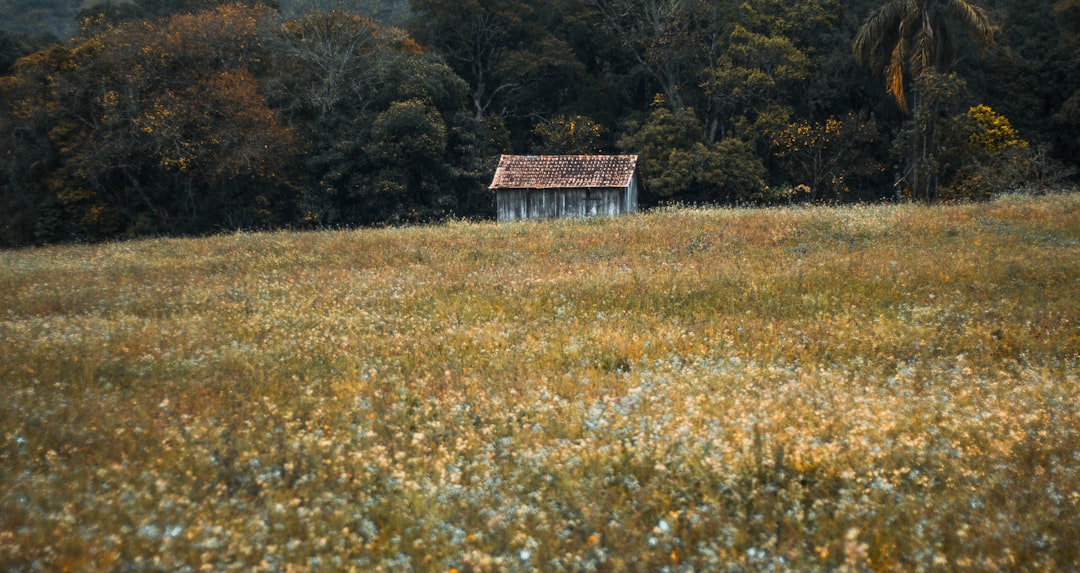 Estância Velha