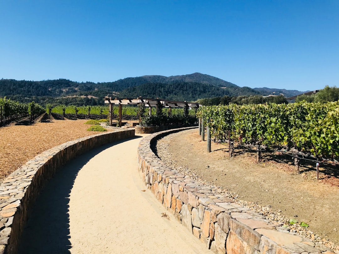 Napa