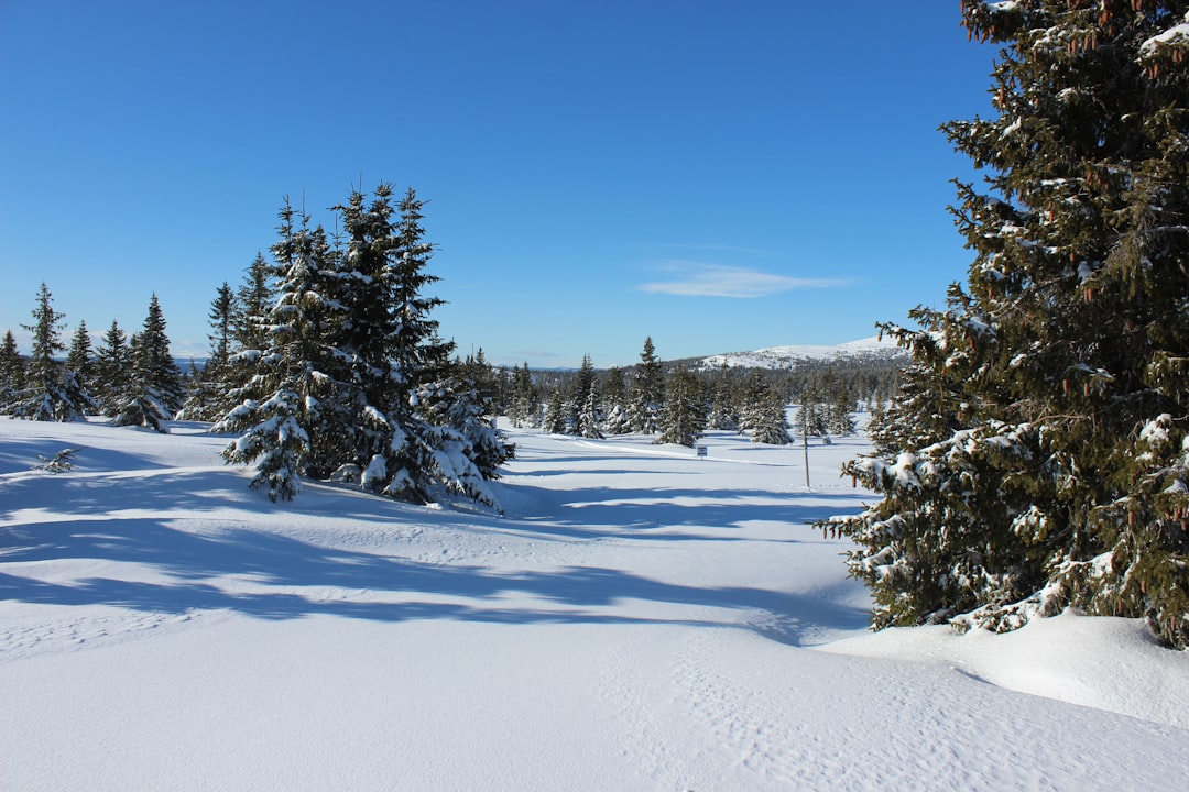 Lillehammer