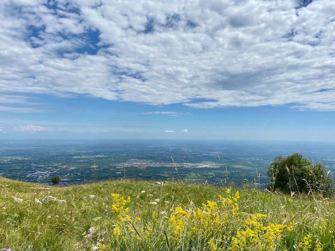 Aviano