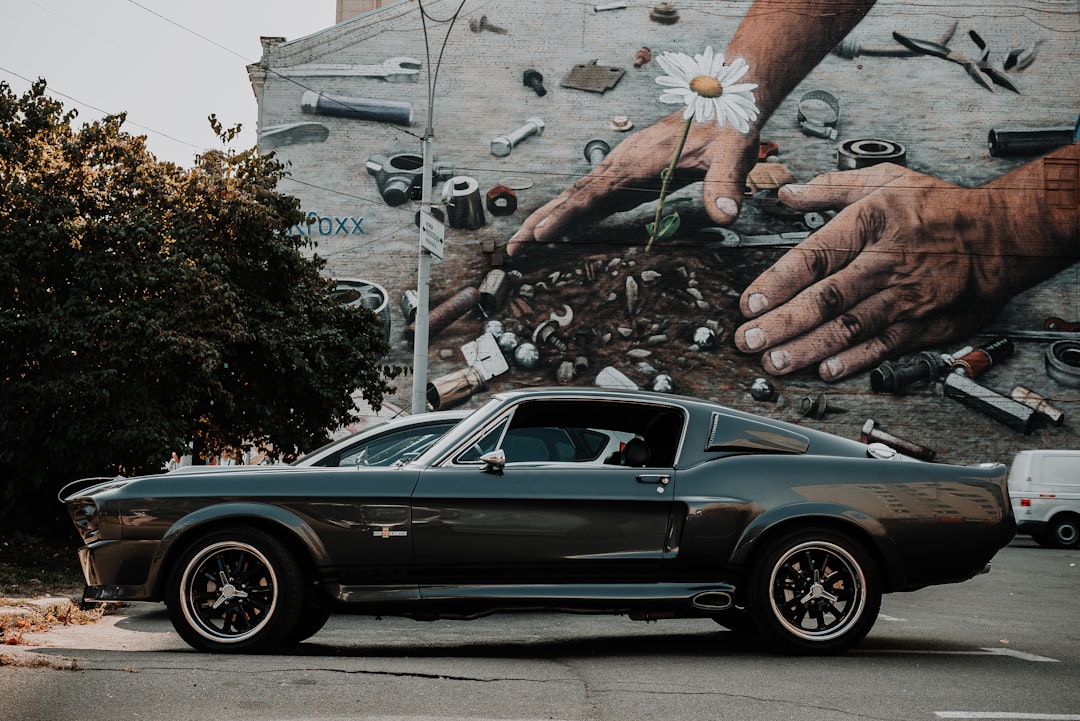 Shelby