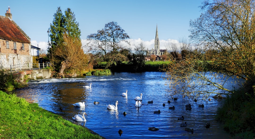 Salisbury